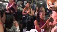 Dancing Bear – Geniune Women, Geniune Hungry, Sucking Cock Enormous Dicks In A Cfnm Party